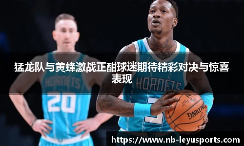乐鱼体育