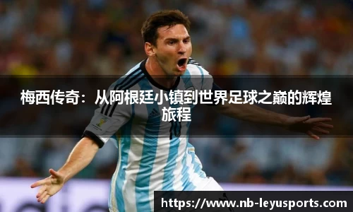 乐鱼体育公司