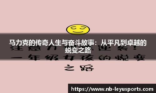 乐鱼体育公司