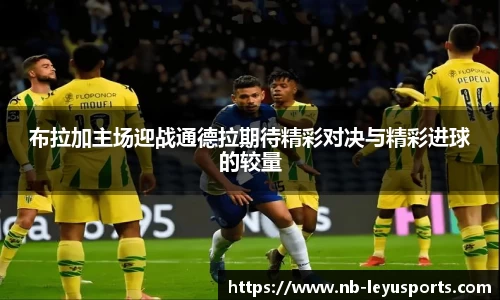 乐鱼体育官网