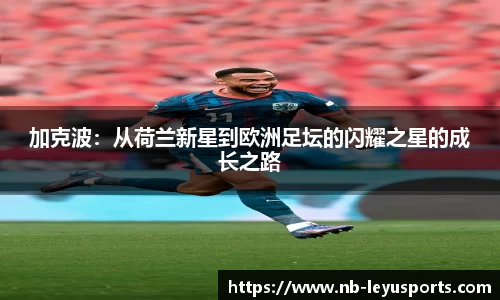 乐鱼体育公司
