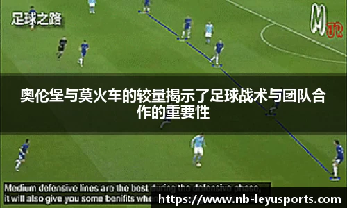 乐鱼体育