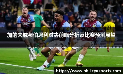 乐鱼体育公司